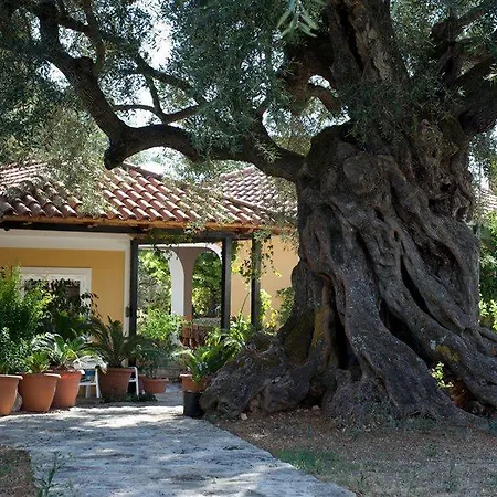 Villa Christina-3